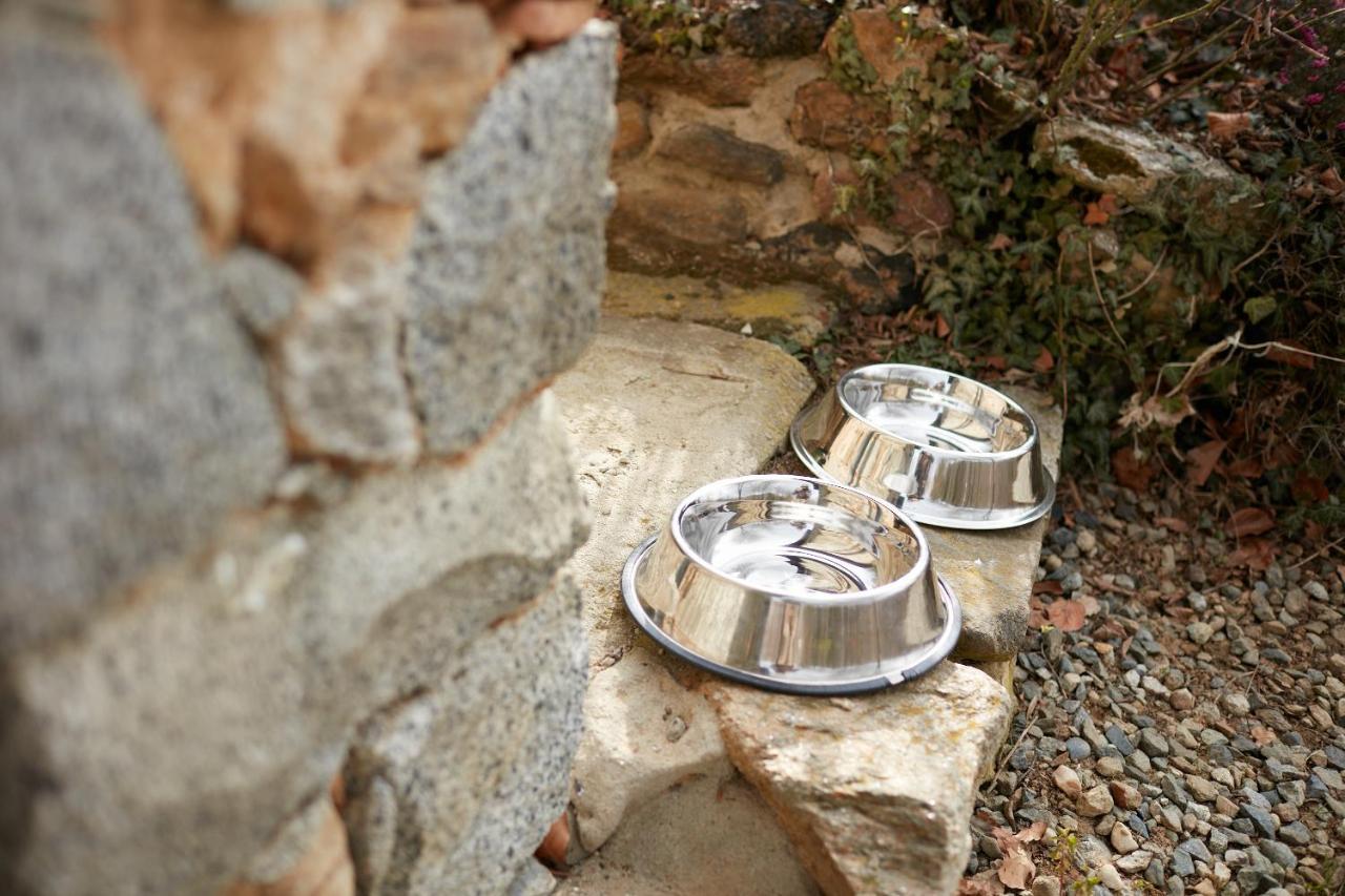 Villetta Con Giardino ⭑⭑⭑⭑⭑ - Wifi, Dogs Allowed 비엘라 외부 사진
