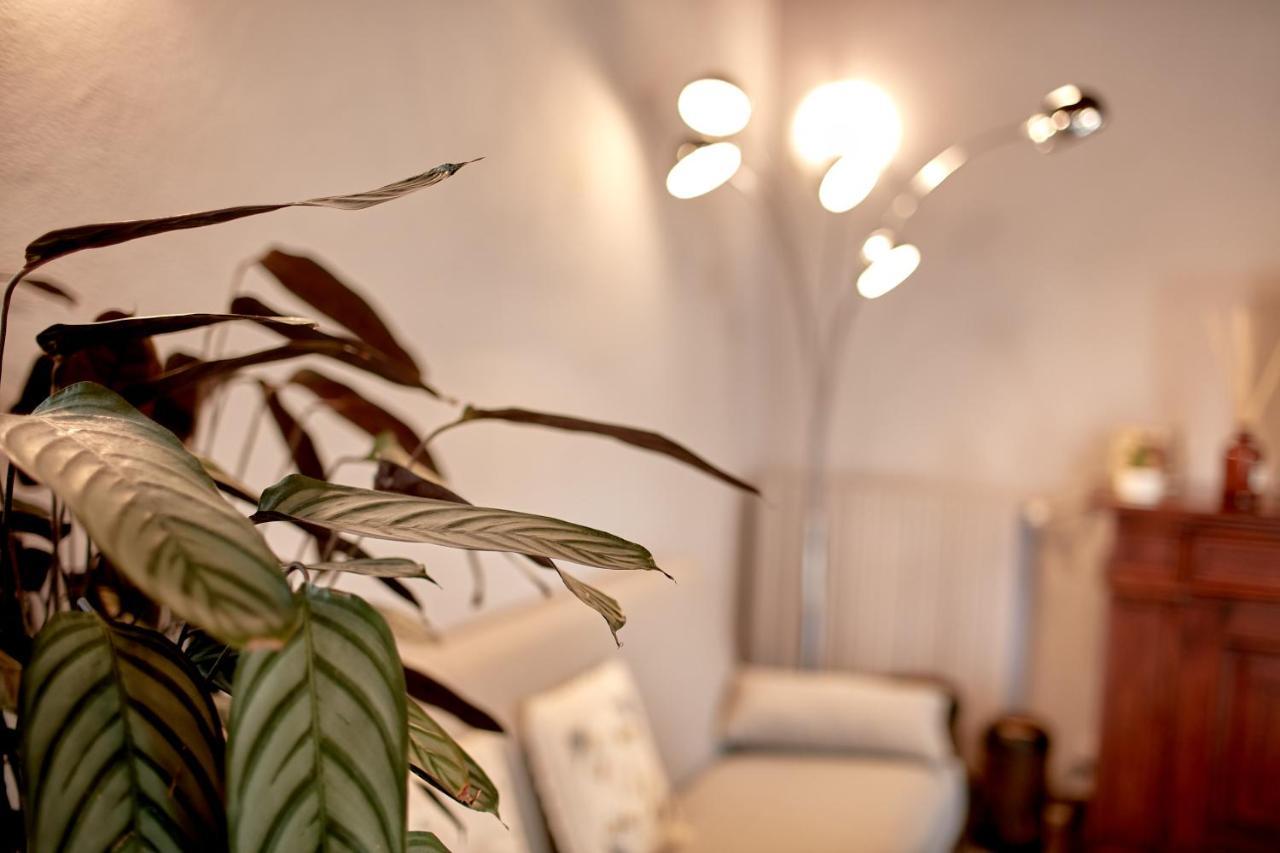 Villetta Con Giardino ⭑⭑⭑⭑⭑ - Wifi, Dogs Allowed 비엘라 외부 사진