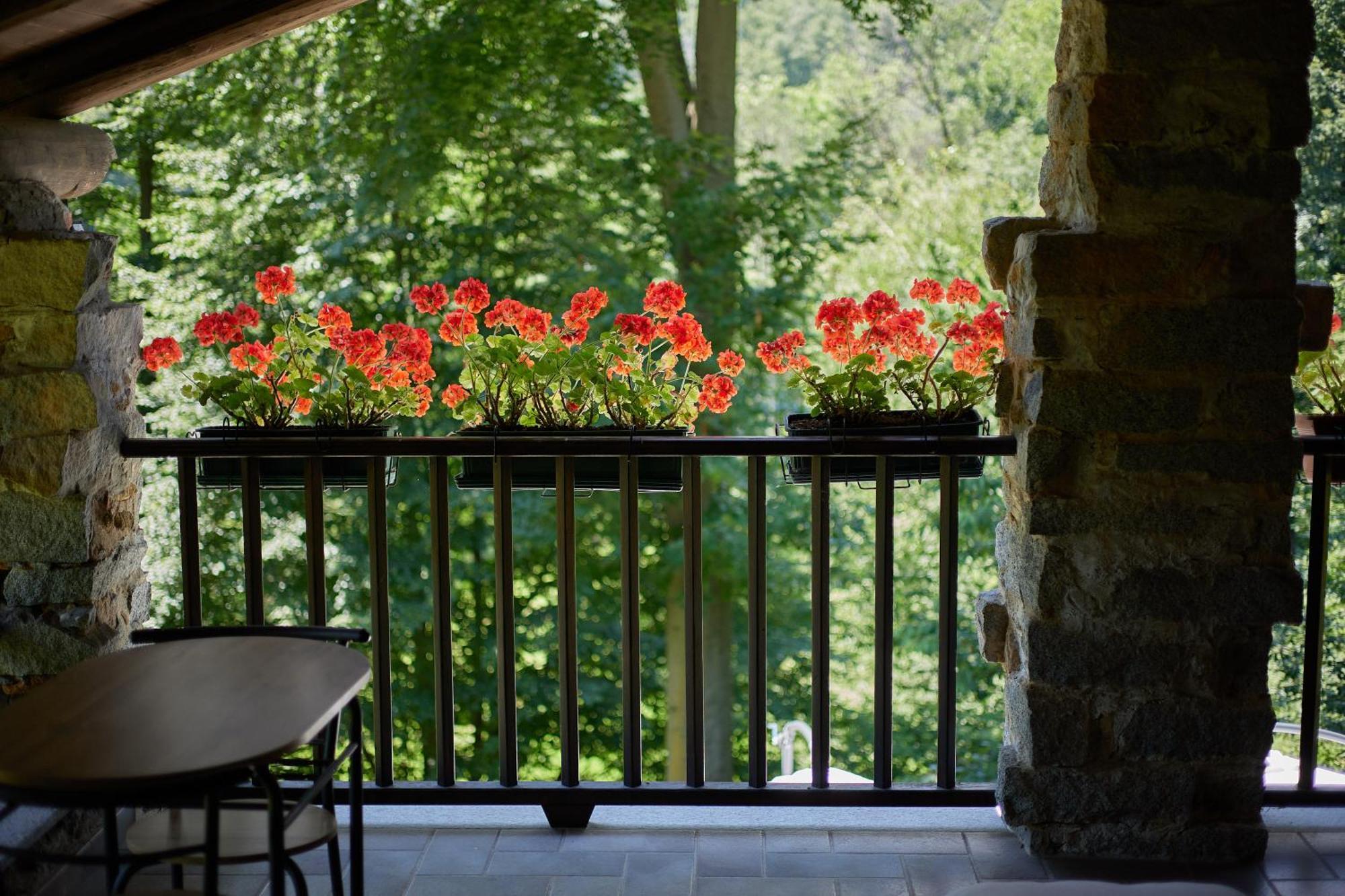 Villetta Con Giardino ⭑⭑⭑⭑⭑ - Wifi, Dogs Allowed 비엘라 외부 사진